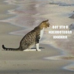 Маршруты внутренней миграции