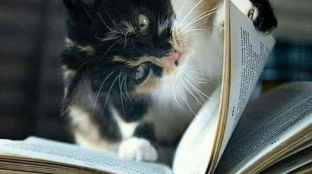 Антиутопии