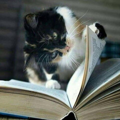 Антиутопии