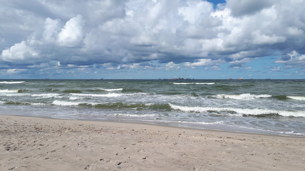 11 класс программа