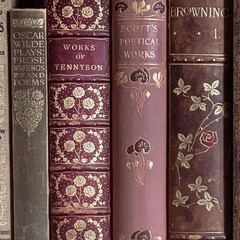 Книги
прочитано