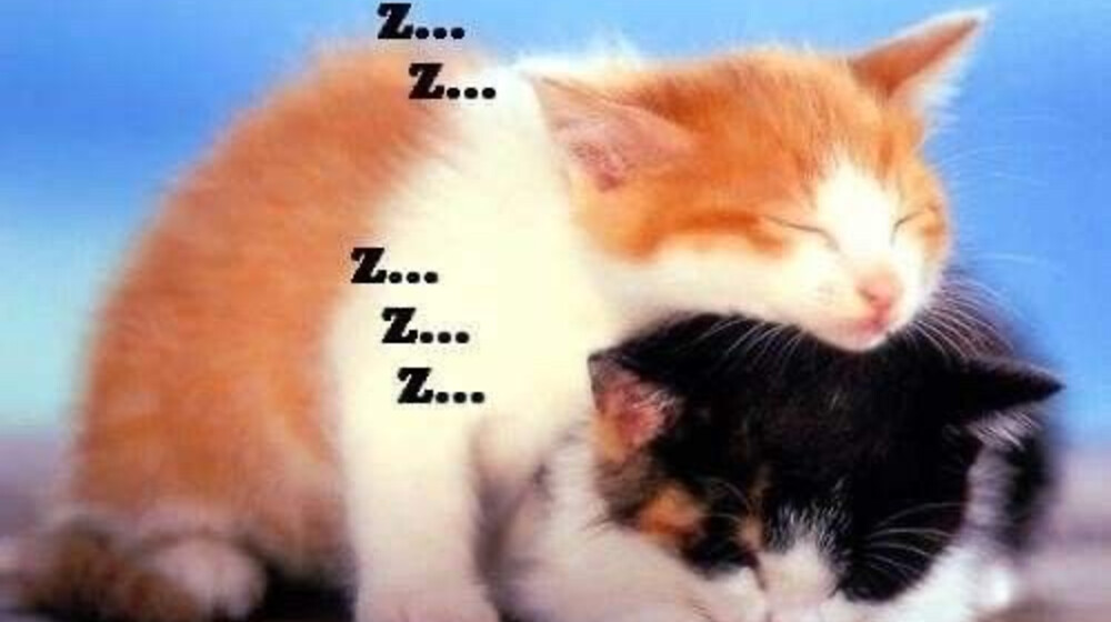 Расслабить мозг