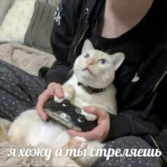 Ска кто в сети?