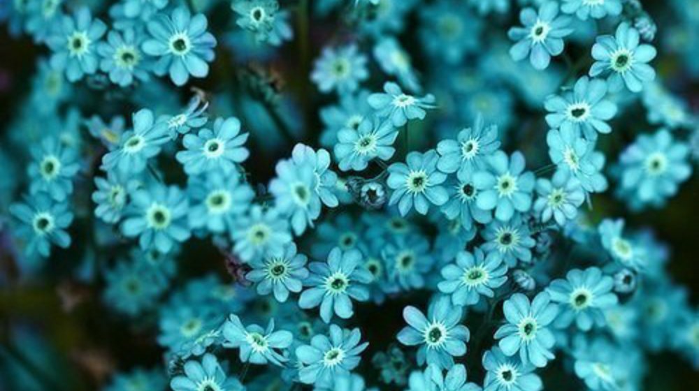 #Armentrout_Dchennifer