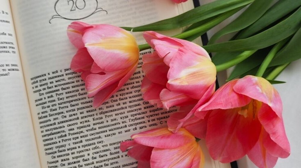 Современная литература