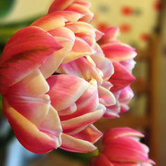 Любовные романы