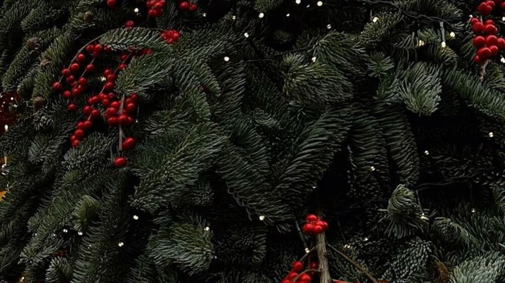 Зимние чтения