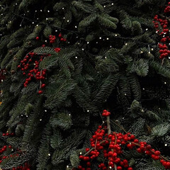 Зимние чтения