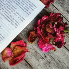 Биографии и истории создания