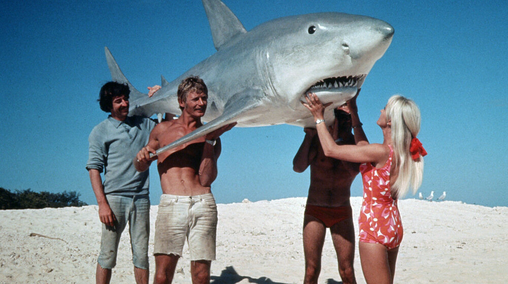 Полка Beat Film Festival 2021