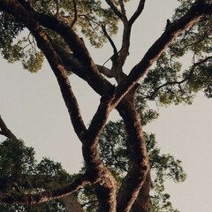 Лучшее из прочитанного