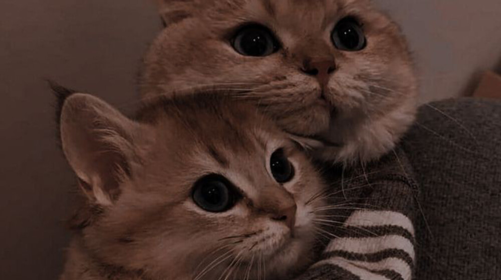 От ненависти до любви 💃❤️