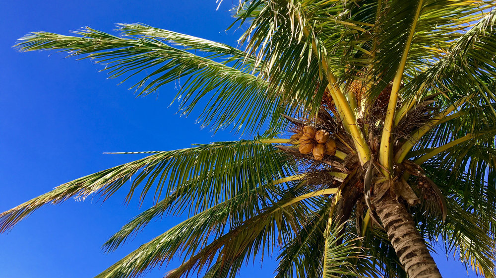 Бестселлеры