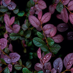 Фантастика и фэнтези