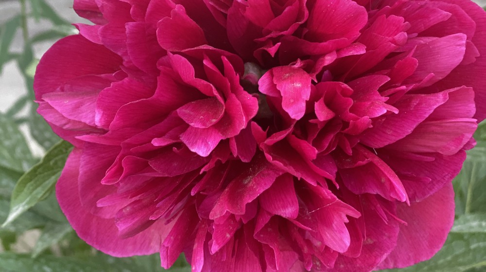 Детям на  лето