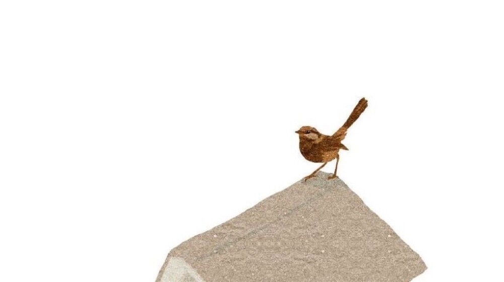 Интересно знать: о теле и разуме