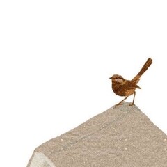 Интересно знать: о теле и разуме