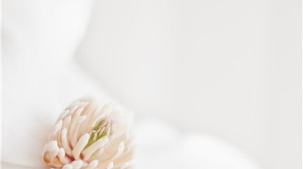 Ритмология