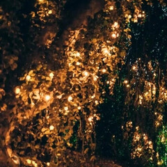 Школа Брейшо