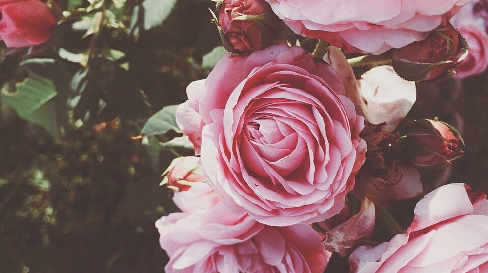 Самооценка