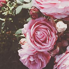 Самооценка