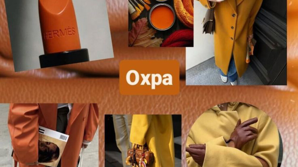 Полка 📚вашего 📖 дизайнера 
📓📔📕📗