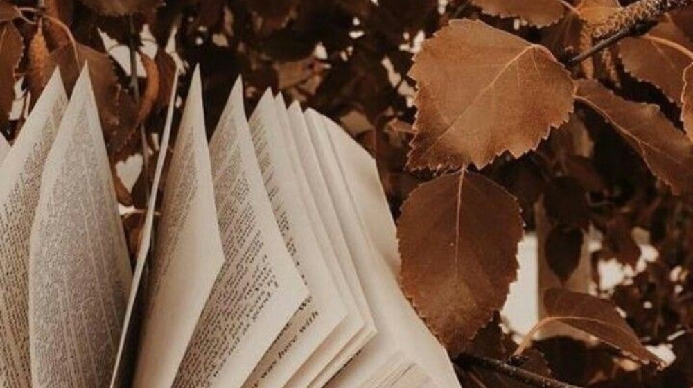 Пылится... 🍃