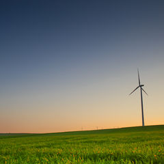 Liberty | Свобода