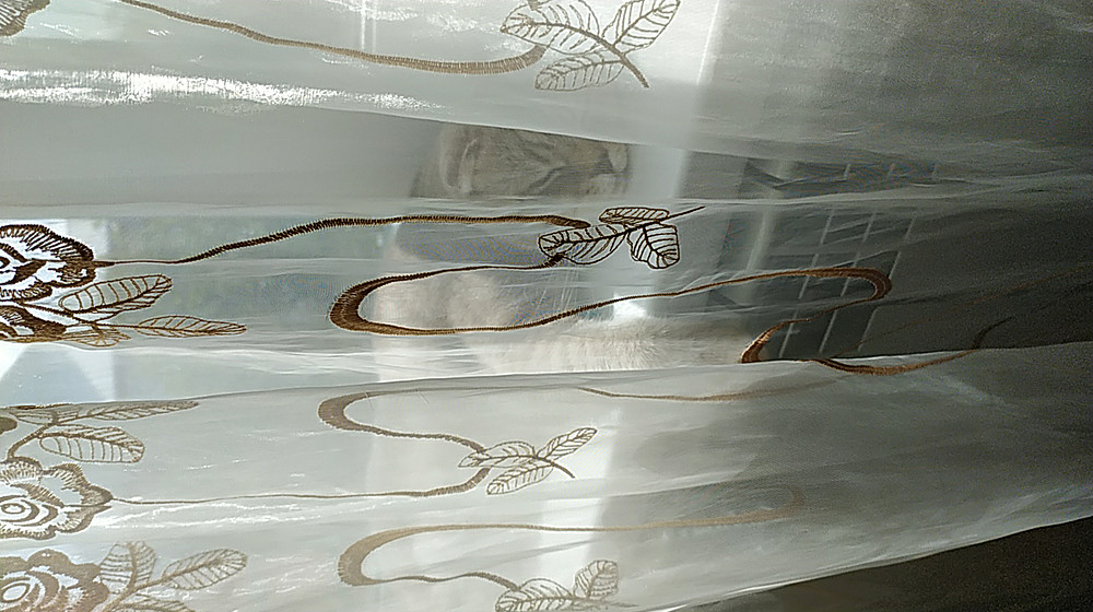 Пулитцеровская премия