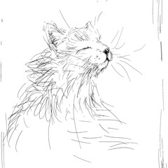 Про КОТИКОВ