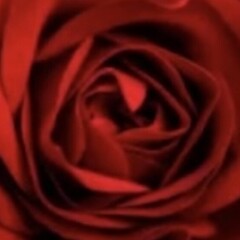 Красная фурия🌹