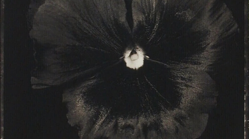 •РОМАН С ОЛЬГОЙ•