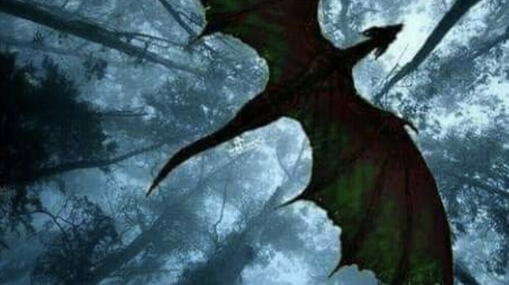 Драконы. Романтическое фэнтези