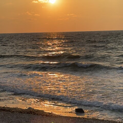 Психология, как она есть