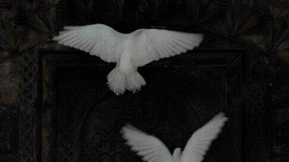 Детективы и триллеры, которые меня захватили