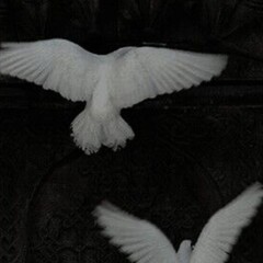 Детективы и триллеры, которые меня захватили