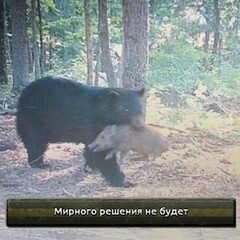 Поле битвы малолеток (хейт Игоря потова) 