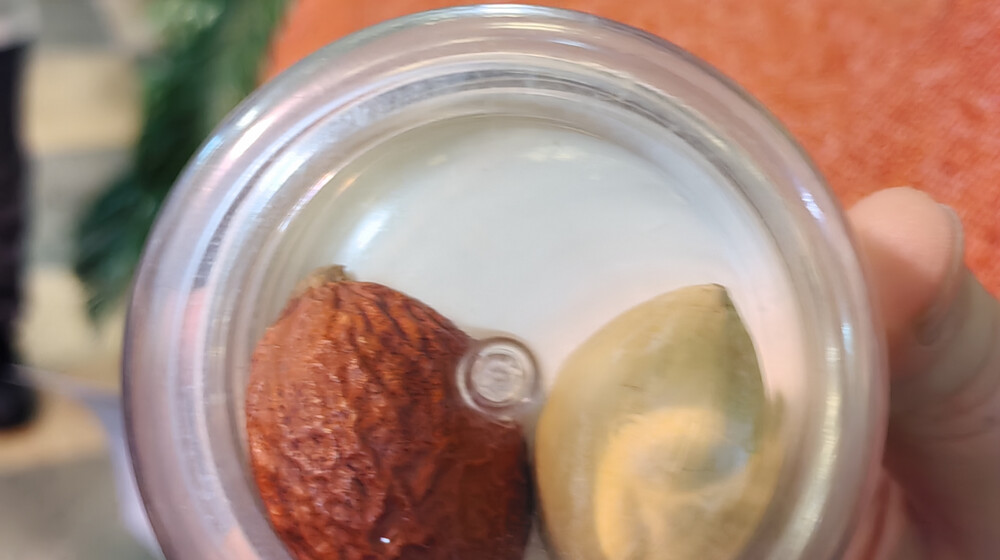 Ключи от коралества