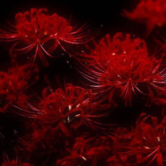 Психология :0