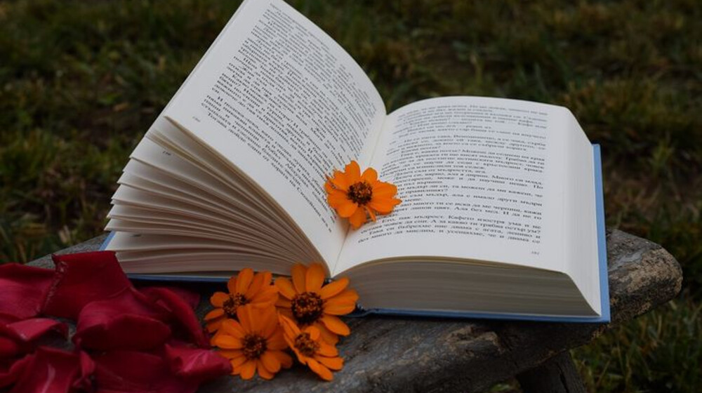 Прочитано разное 🔥💞💫