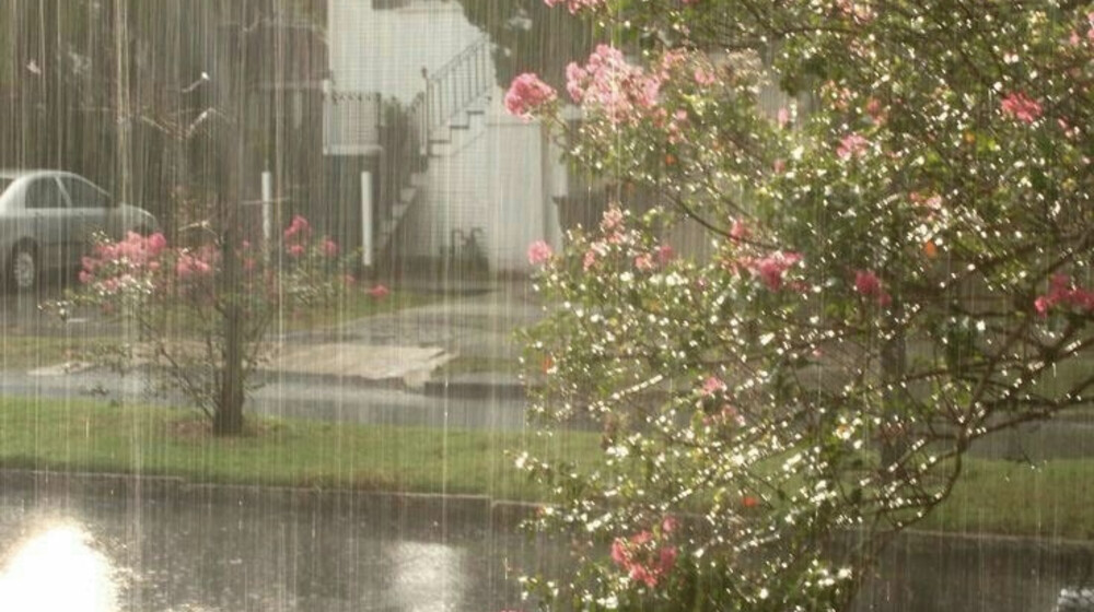 Русский язык