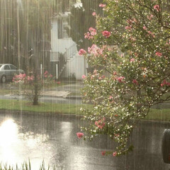 Русский язык