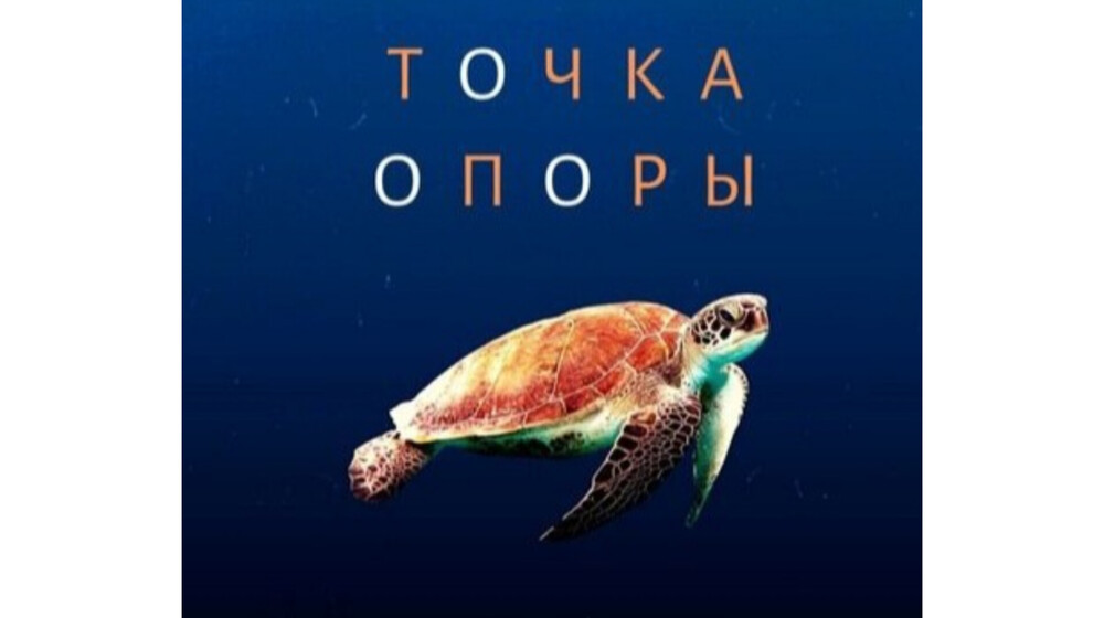 Точка опоры