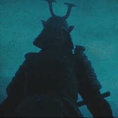 Полка Коли Ш