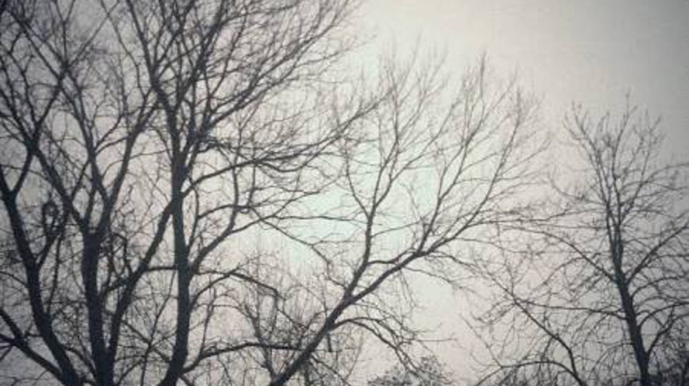 Жизнь - боль