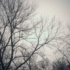 Жизнь - боль