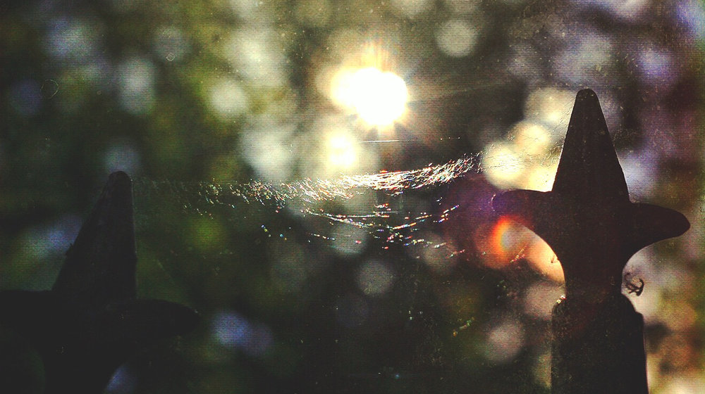 Единая книга Кинга