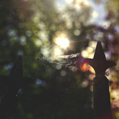 Единая книга Кинга