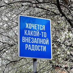 СОВМЕСТНЫЕ ЧТЕНИЯ