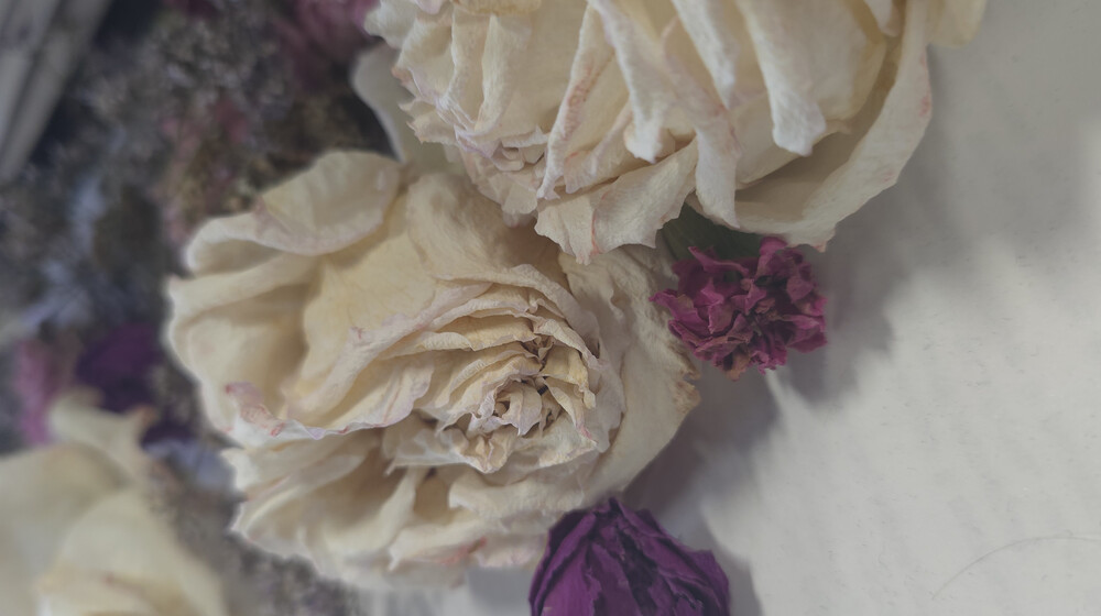 Менеджмент